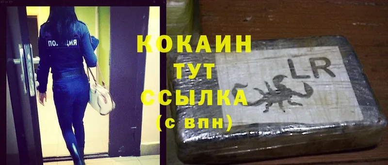 Кокаин Fish Scale  shop формула  Шагонар 